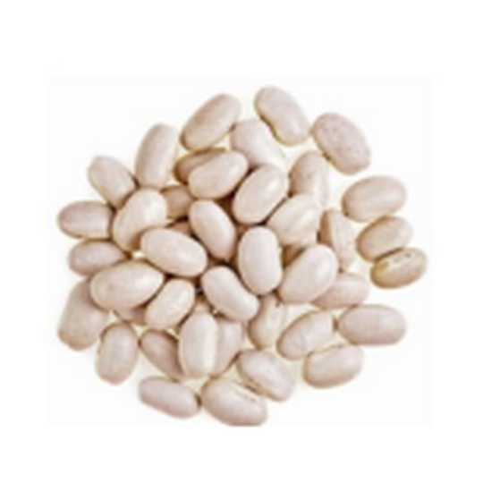 Great northern beans